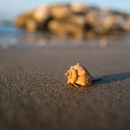 Residenza I Cerchi Daire *